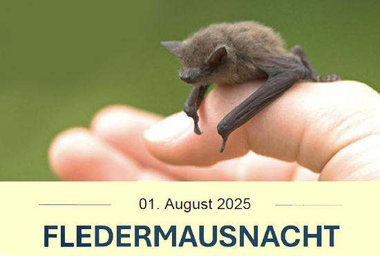 Plakat Fledermausnacht
