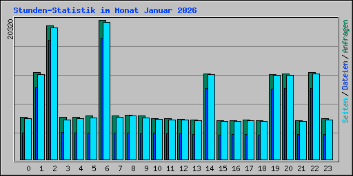 Stunden-Statistik im Monat Januar 2026
