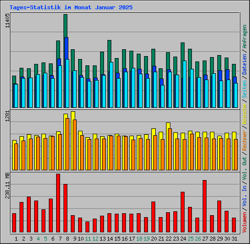 Tages-Statistik im Monat Januar 2025