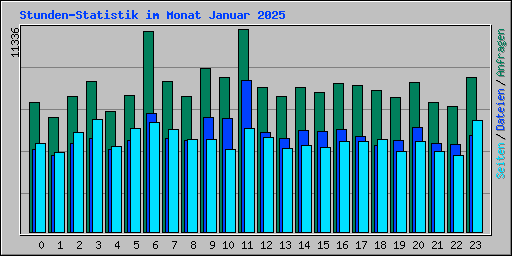 Stunden-Statistik im Monat Januar 2025